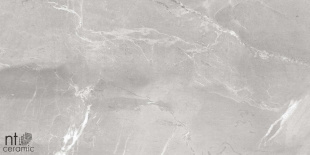 Керамогранит NT Ceramic Quanta Slate Grey арт. NS612NTT9026L (60x120) лаппатированная